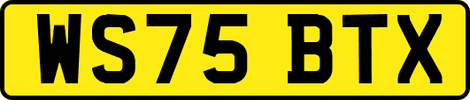 WS75BTX