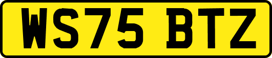 WS75BTZ