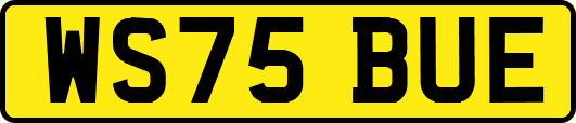 WS75BUE