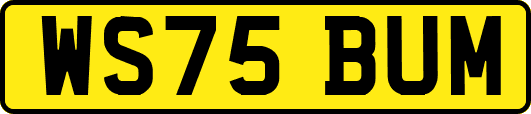 WS75BUM