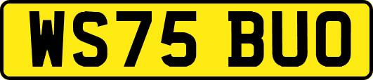 WS75BUO