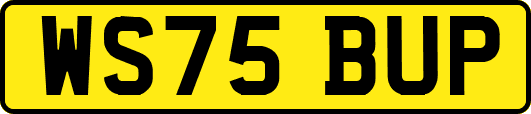 WS75BUP