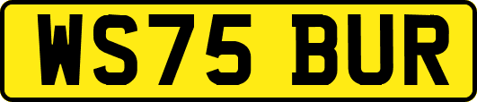 WS75BUR