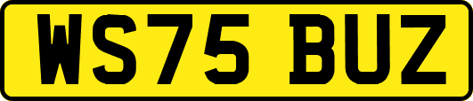 WS75BUZ
