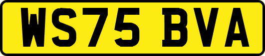 WS75BVA