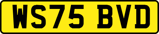 WS75BVD