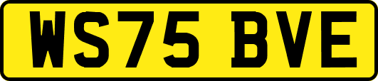 WS75BVE