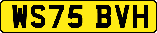 WS75BVH