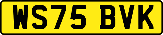 WS75BVK