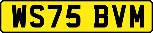 WS75BVM