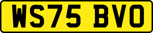WS75BVO
