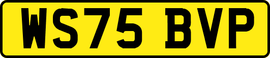 WS75BVP