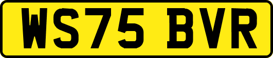 WS75BVR