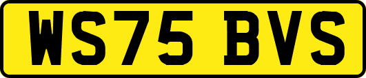 WS75BVS
