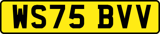 WS75BVV