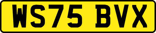 WS75BVX