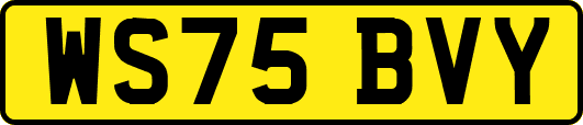 WS75BVY