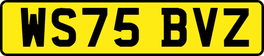 WS75BVZ
