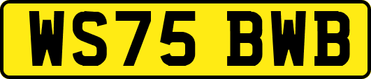 WS75BWB