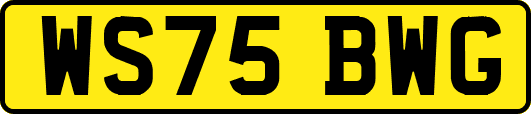 WS75BWG