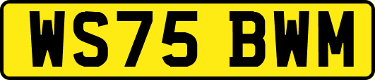 WS75BWM