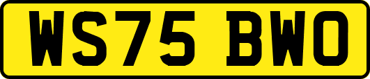 WS75BWO