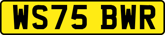 WS75BWR