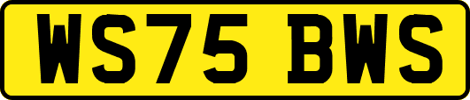 WS75BWS