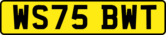WS75BWT