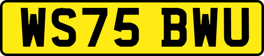 WS75BWU