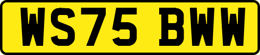 WS75BWW