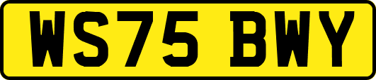 WS75BWY