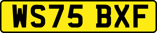 WS75BXF