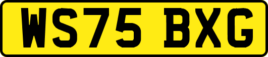 WS75BXG