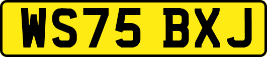 WS75BXJ