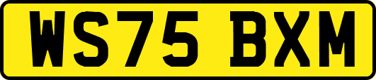 WS75BXM