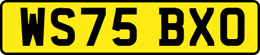 WS75BXO