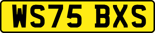 WS75BXS