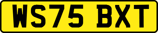 WS75BXT