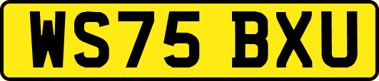 WS75BXU