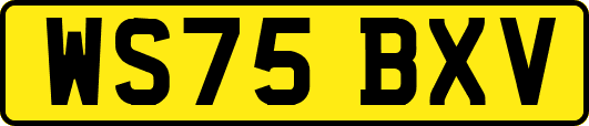 WS75BXV