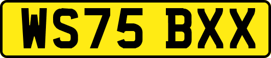 WS75BXX