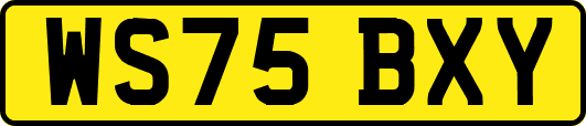 WS75BXY