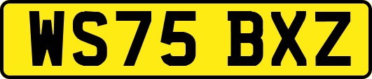 WS75BXZ