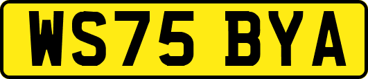 WS75BYA