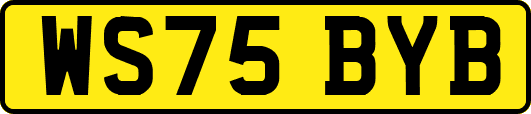 WS75BYB