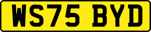 WS75BYD