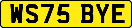 WS75BYE