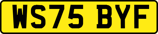 WS75BYF