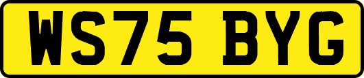 WS75BYG